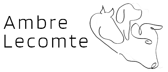logo ambre
